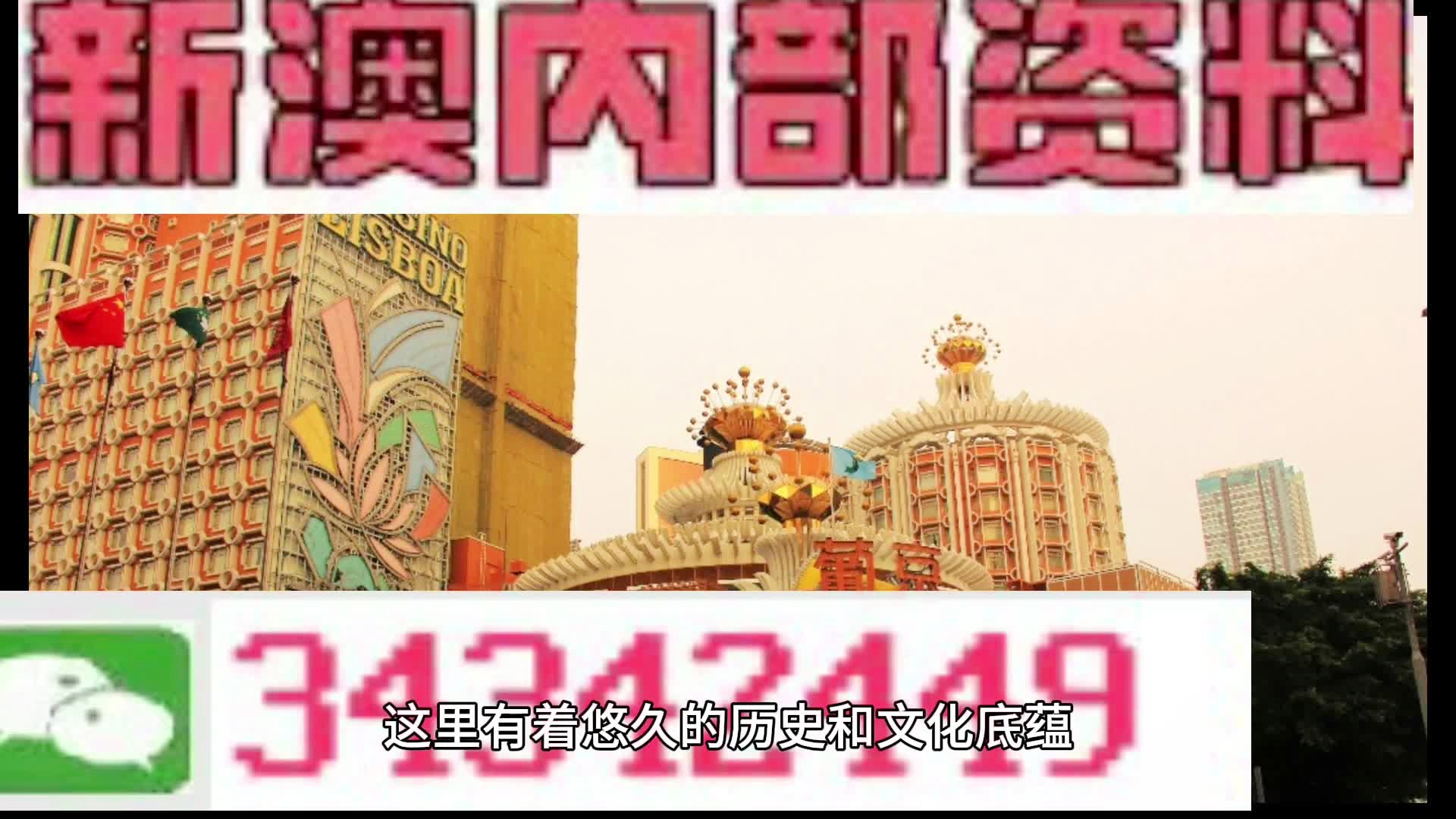 澳門最精準免費資料大全特色，澳門最全免費資料大全特色解析