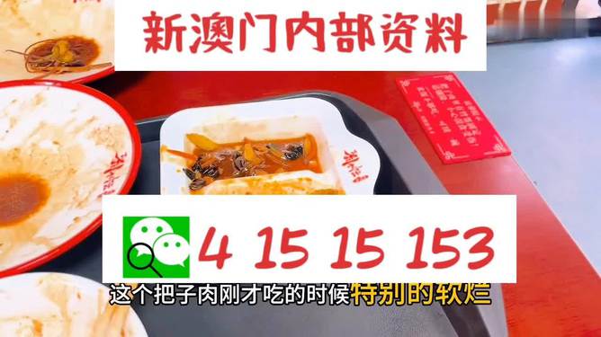 澳門王中王六碼新澳門，揭秘彩票背后的故事，澳門王中王六碼揭秘，彩票背后的故事探索