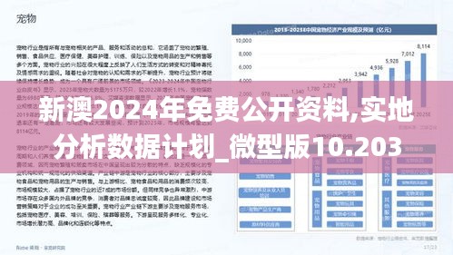 2025新澳精準(zhǔn)免費(fèi)大全,動態(tài)評估說明_6