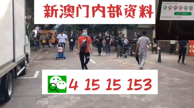 揭秘77778888管家婆老家必中之謎，一網(wǎng)打盡的背后故事，揭秘77778888管家婆，老家必中之謎的背后真相一網(wǎng)打盡