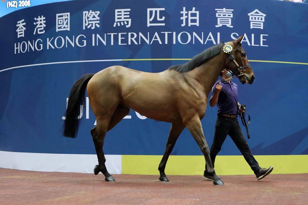馬會香港新紀元，探索數(shù)字時代的無限可能 7777788888，馬會香港新紀元，數(shù)字時代的無限潛能探索