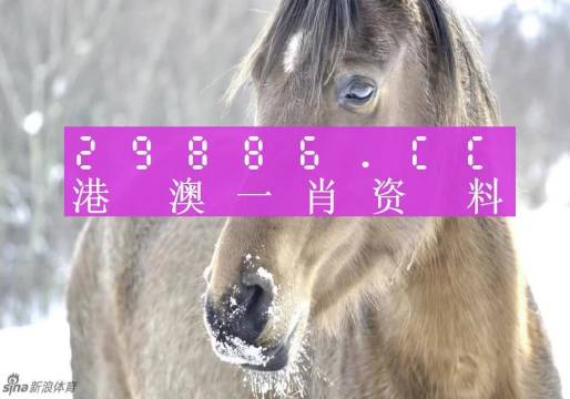 澳門一肖一碼，揭秘背后的秘密與真相，澳門一肖一碼揭秘背后的秘密真相大揭秘