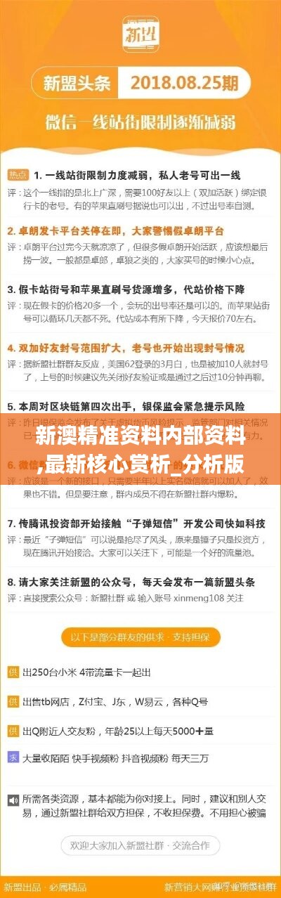 新澳精準(zhǔn)資料免費(fèi)提供，探索第221期的奧秘與價(jià)值，新澳精準(zhǔn)資料揭秘第221期奧秘與價(jià)值