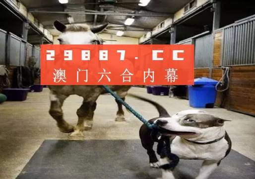 澳門一肖一碼一必中，同舟共濟(jì)向前行，澳門一肖一碼必中，同舟共濟(jì)向前行