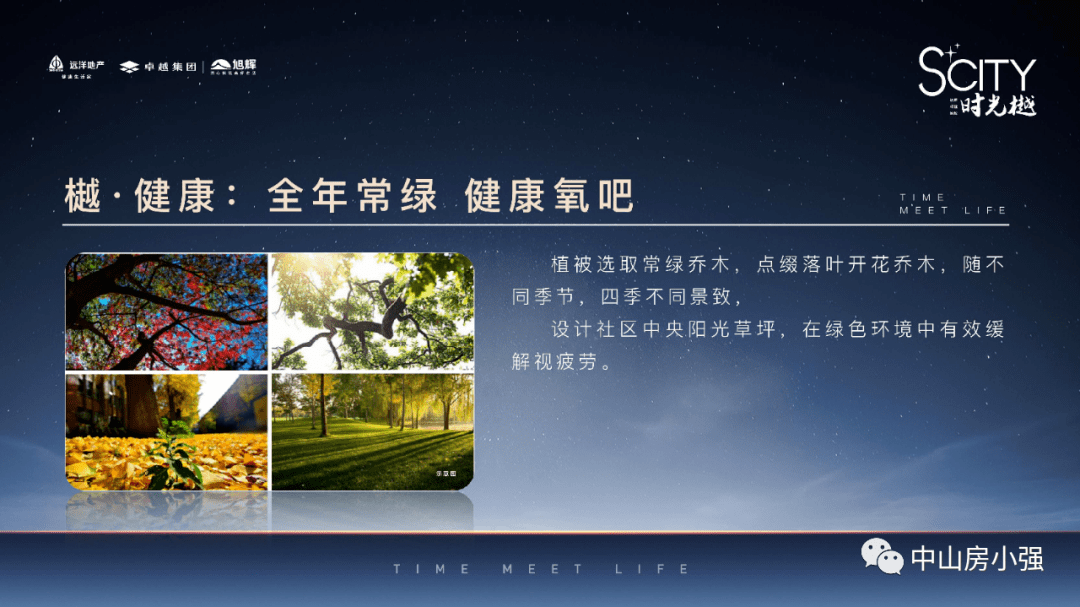 2025新澳門精準正版免費,科學依據(jù)解析說明_8