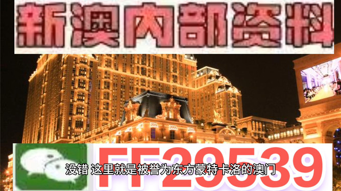 探索未來，2025年澳門特馬之夜，探索未來，澳門特馬之夜 2025展望