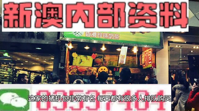2025新澳精準(zhǔn)資料大全，2025新澳精準(zhǔn)資料大全手冊