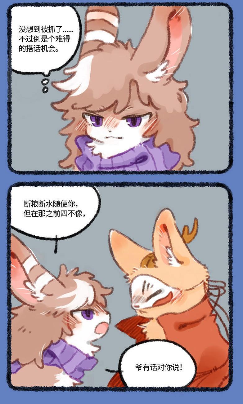 四不像的神秘面紗，今晚必中一肖揭秘，四不像神秘面紗揭曉，今晚生肖揭秘一探究竟