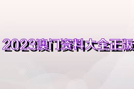 澳門正版免費全年資料大全旅游團(tuán)——探索澳門魅力的絕佳選擇，澳門正版全年旅游資料大全，探索澳門魅力的旅游團(tuán)
