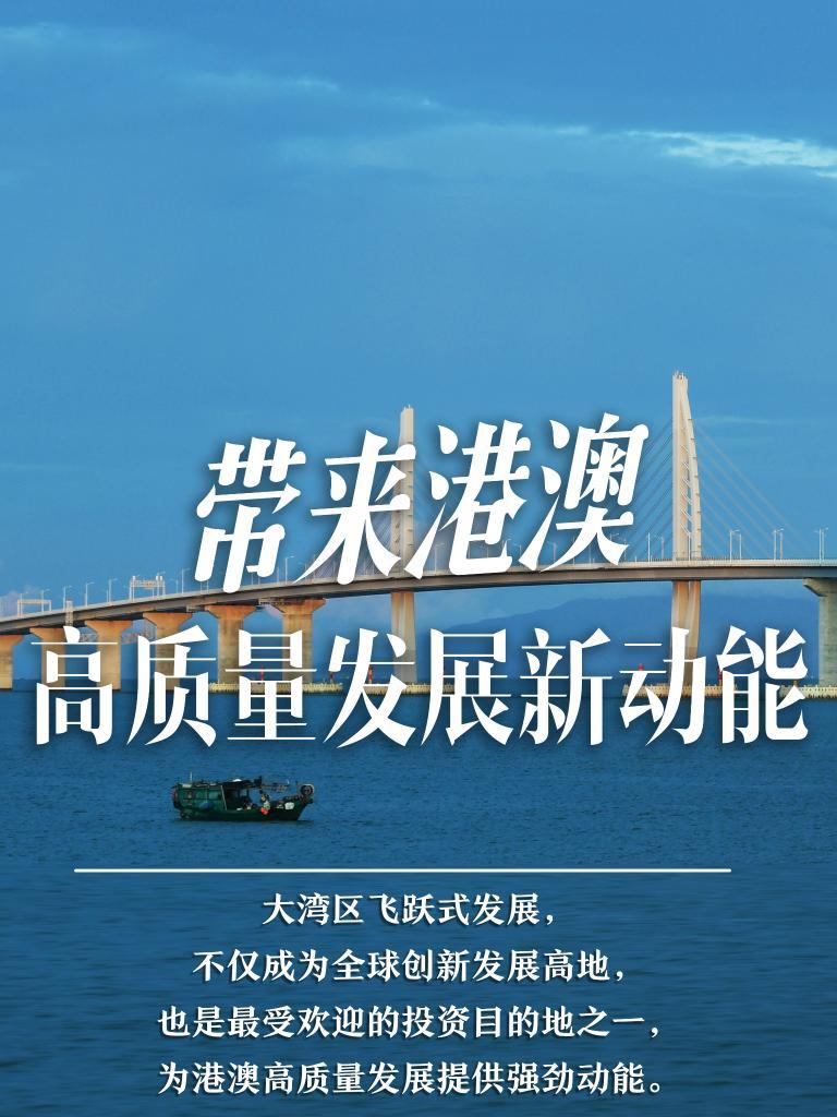 2025新澳門精準(zhǔn)免費(fèi)大全，澳門最新精準(zhǔn)免費(fèi)資料大全（2025版）