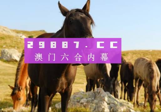 “使用指南”）