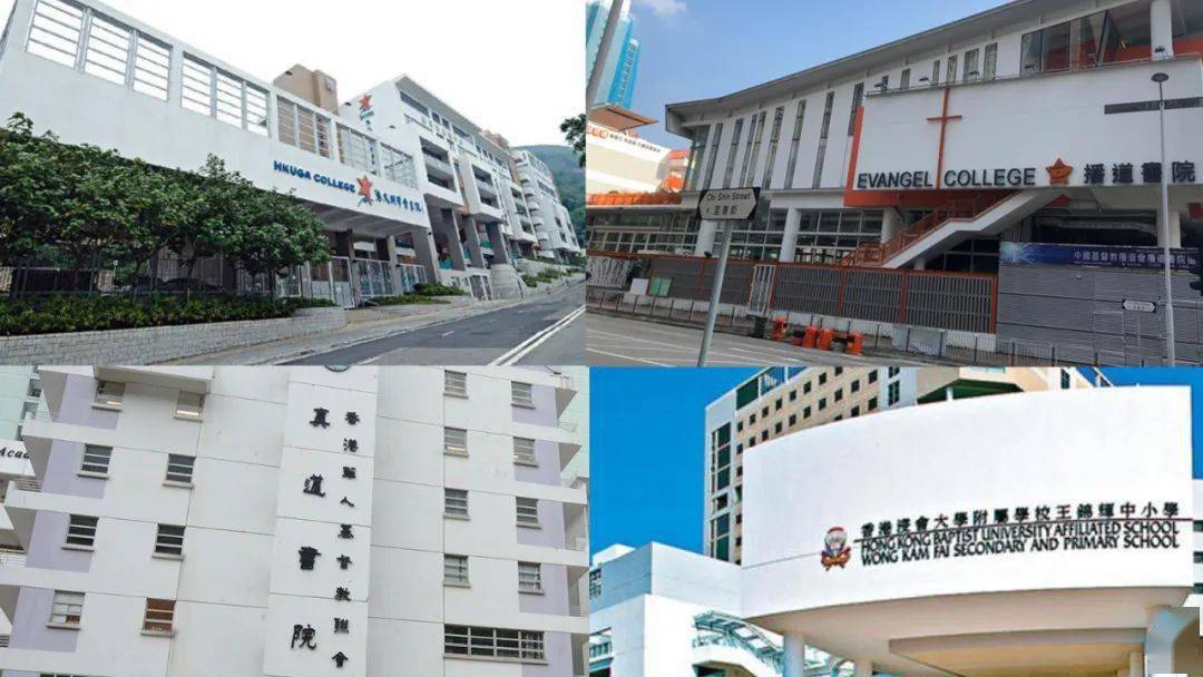 香港免費公開資料大全，香港免費公開資料大全概覽