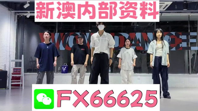 新澳天天開獎資料，新澳天天開獎資料詳解