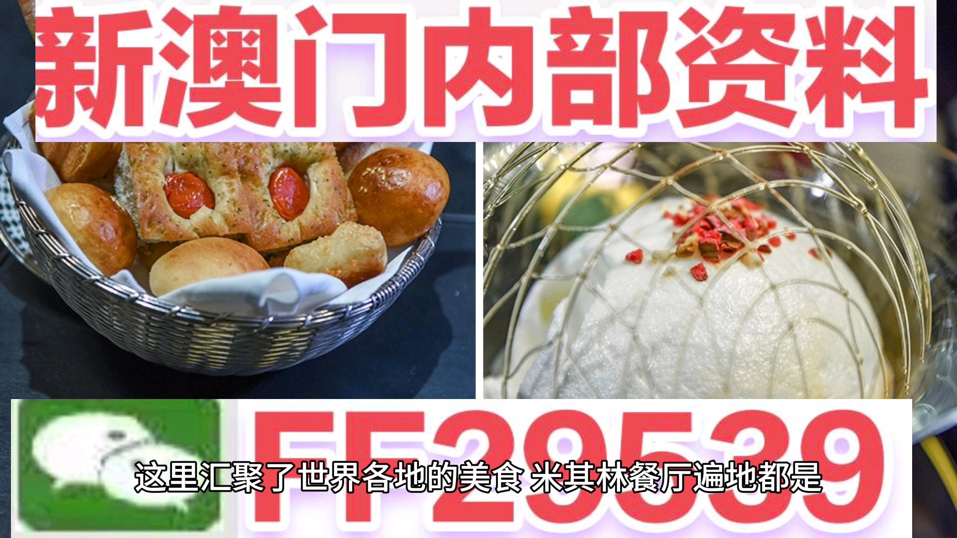 2025澳門特馬今晚開獎億彩網(wǎng)書肖在哪幾個，澳門特馬今晚開獎預測及書肖分析