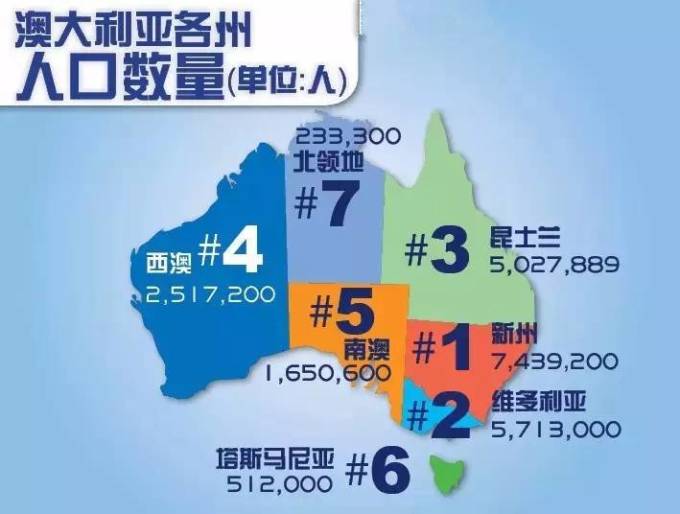 新澳2025年一肖一馬中特，新澳2025年一肖一馬中特預(yù)測與解析