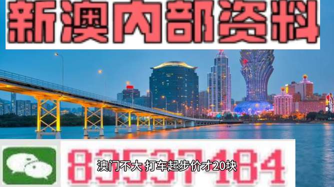 揭秘探索（或解讀）