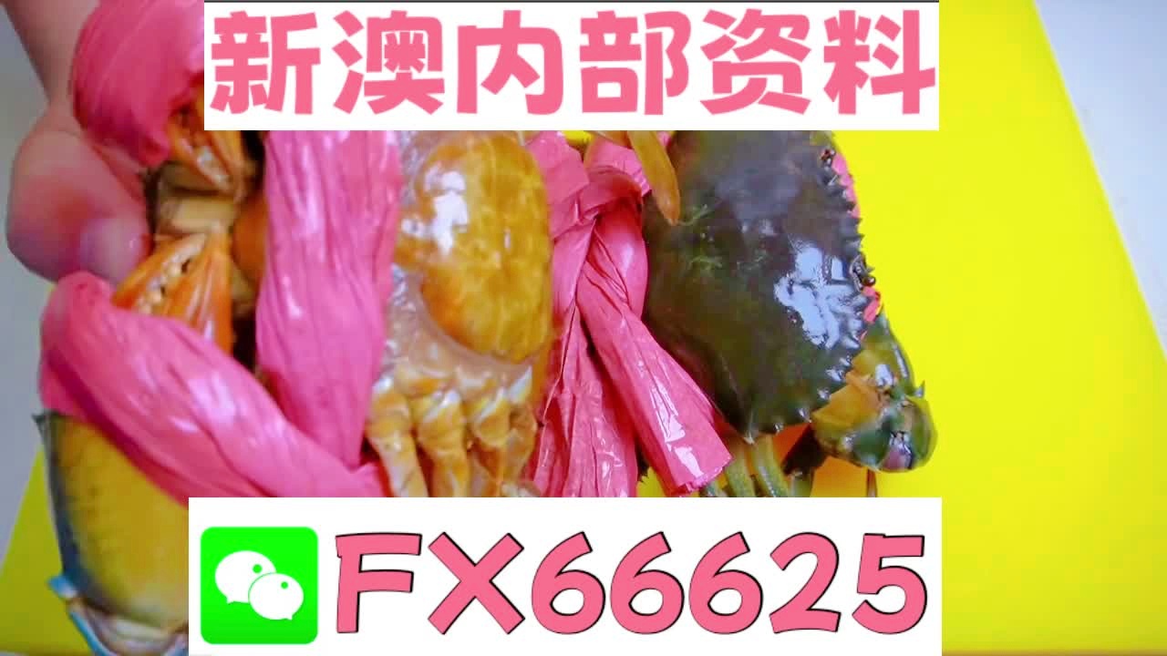 揭秘2025新澳精準(zhǔn)資料大全，深度解析與指南，揭秘2025新澳精準(zhǔn)資料大全，深度解析與實(shí)用指南