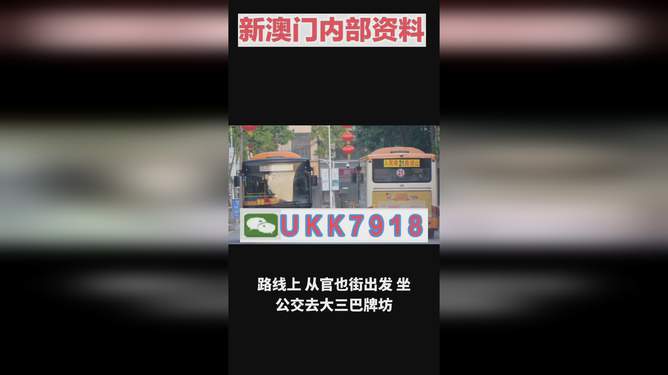 2025年澳門特馬今晚號(hào)碼——熱門話題下的理性探討，澳門特馬號(hào)碼預(yù)測(cè)，理性探討下的熱門話題