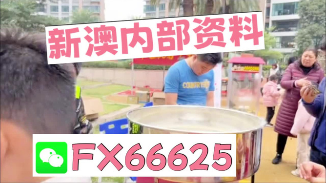 澳門正版免費全年資料大全旅游團，探索澳門之旅的完美指南，澳門旅游團指南，正版免費全年資料大全，探索澳門之旅的完美選擇