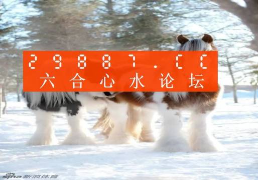 今晚必中一肖一碼四不像，揭秘彩票的神秘面紗，揭秘彩票神秘面紗，今晚必中一肖一碼四不像