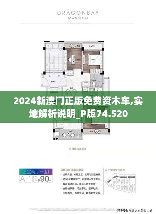 2025新澳門正版免費資木車，澳門正版免費資料木車預測（2025版）