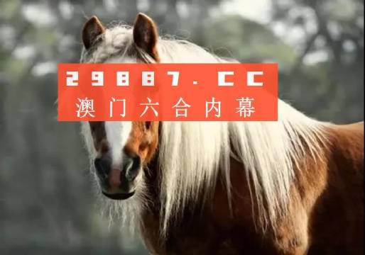 澳門今晚必中一肖一碼，揭秘彩票背后的秘密，澳門彩票秘密揭秘，今晚必中一肖一碼！