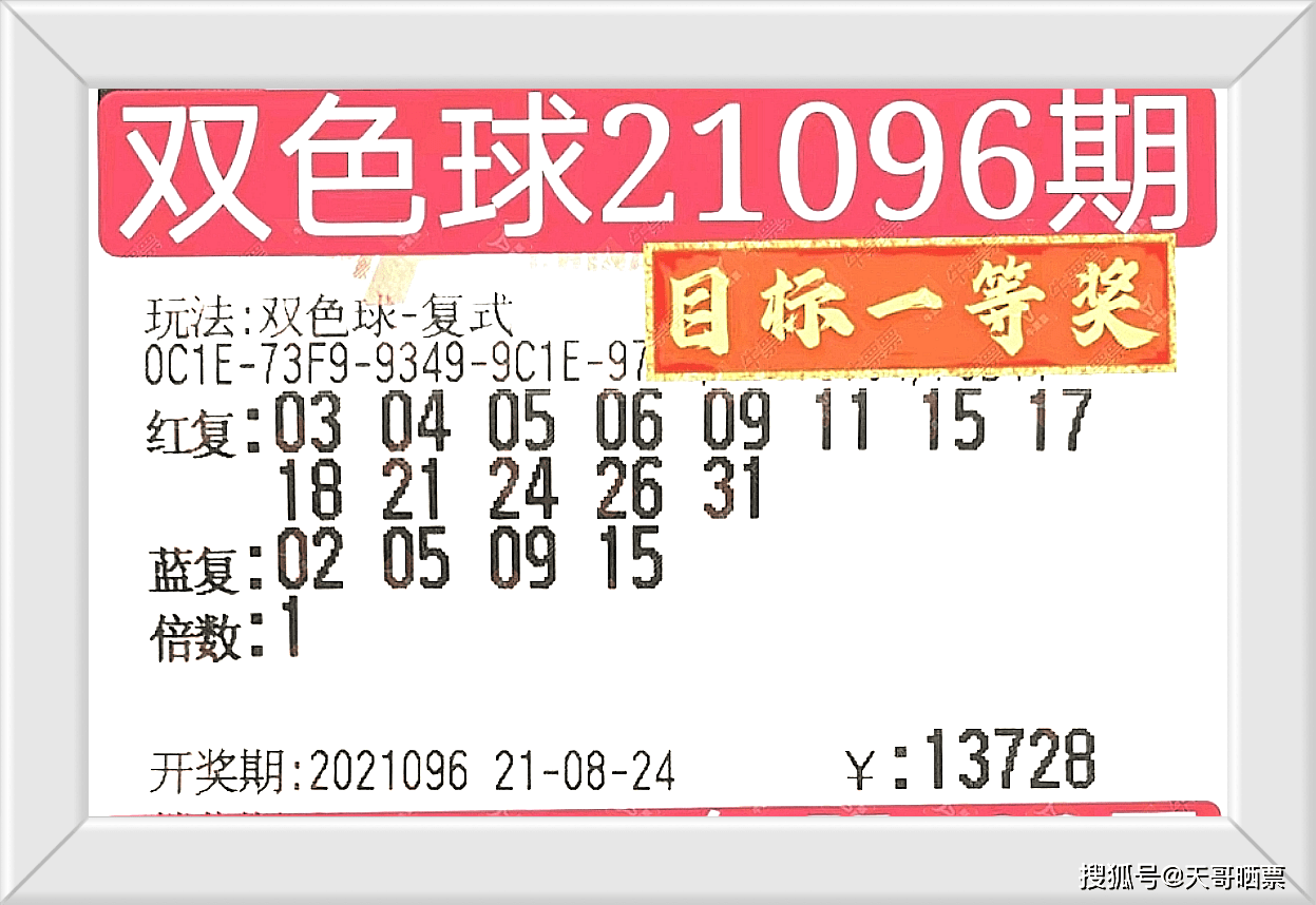2025澳門特馬今晚開什么碼，澳門今晚特馬開碼結(jié)果預(yù)測(cè)分析