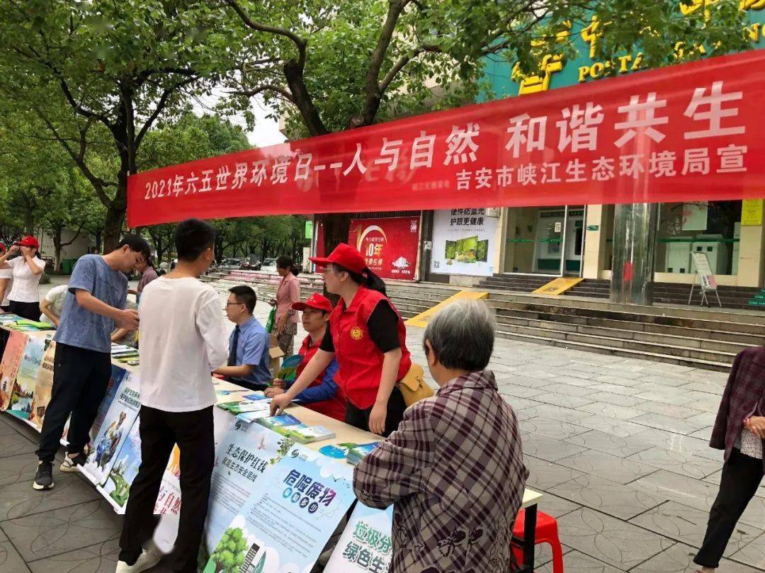 澳門六今晚開什么特馬，澳門今晚特馬開獎結(jié)果揭曉
