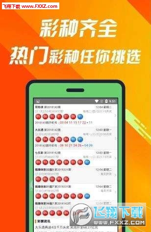 王中王493333中特大全，王中王493333中特大全揭曉