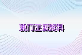 2025澳門免費資料正版資料，澳門正版資料2025年免費版揭秘