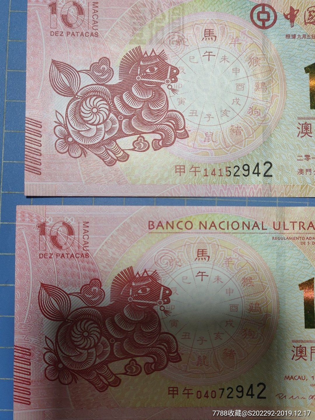 澳門馬的十二生肖是什么？帶你一探究竟，澳門馬的十二生肖揭秘，一探究竟