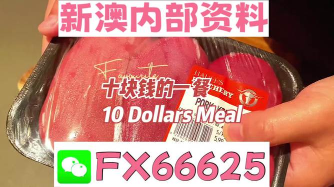 新澳2025年精準(zhǔn)資料，新澳2025年精準(zhǔn)資料概覽