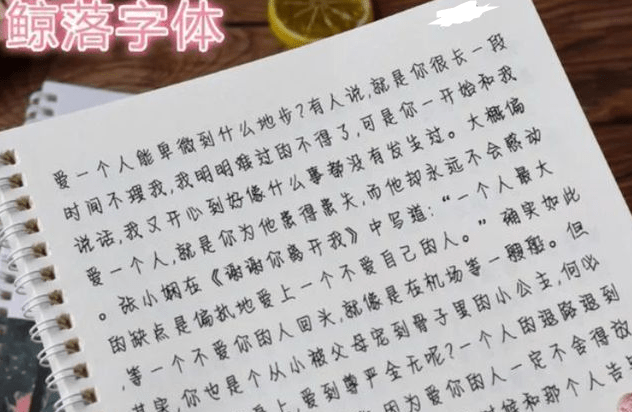 新澳門正牌掛牌之全篇，新澳門正牌掛牌詳解