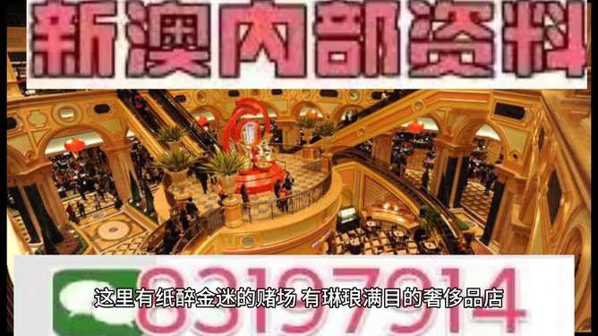 澳門特馬今晚，澳門特馬今晚開獎結(jié)果揭曉