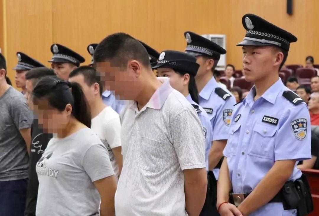 香港正版特馬資料，香港正版特馬資料揭秘