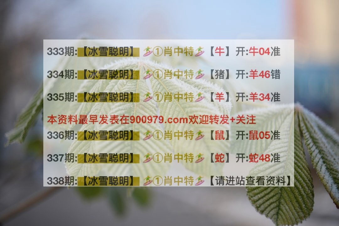 新澳特料2025澳門開獎(jiǎng)結(jié)果查詢，澳門開獎(jiǎng)結(jié)果查詢，新澳特料2025揭曉